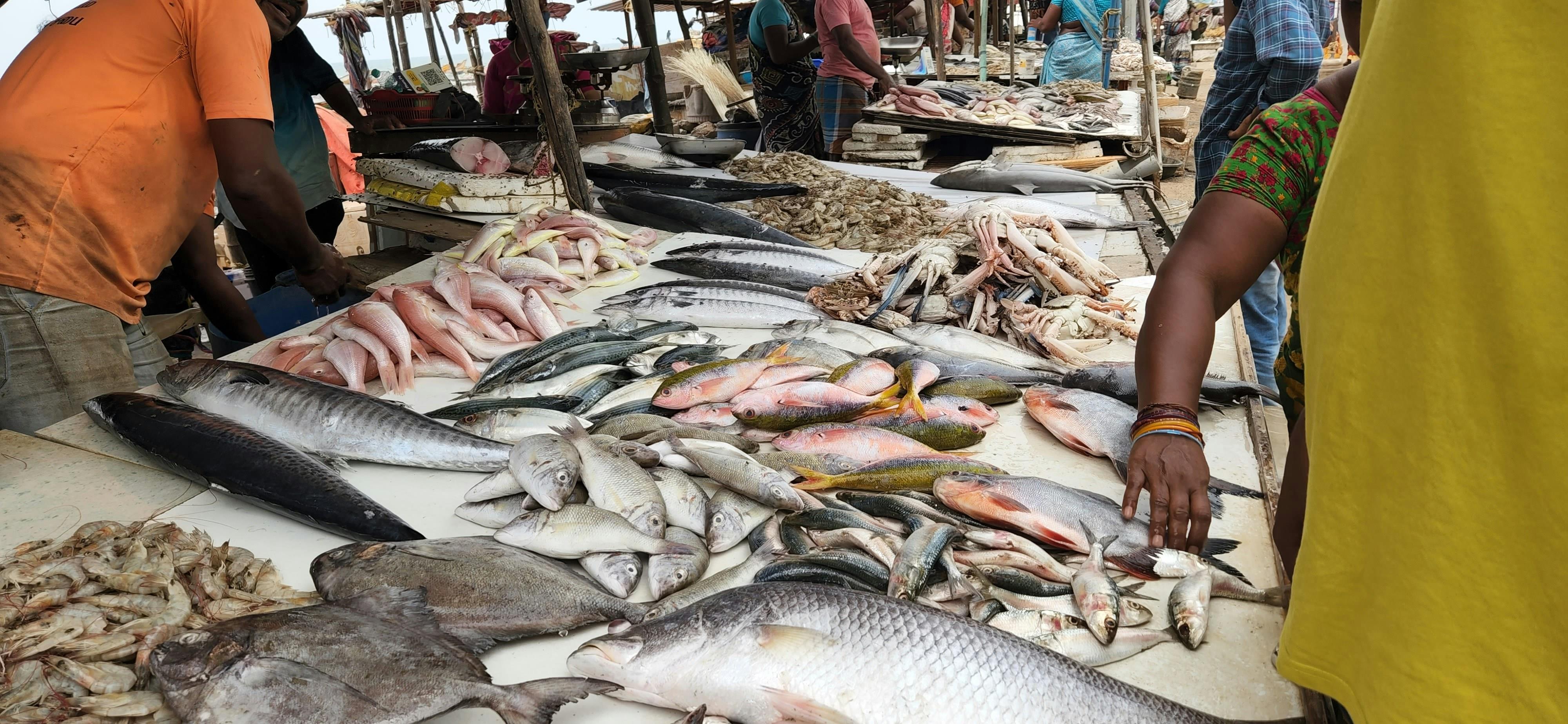 "Fresh Fish-Finest Taste"